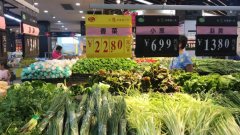 惠州農副產品了解武漢種博會精彩亮相，秋季蔬菜展有31個新品獲專家推介