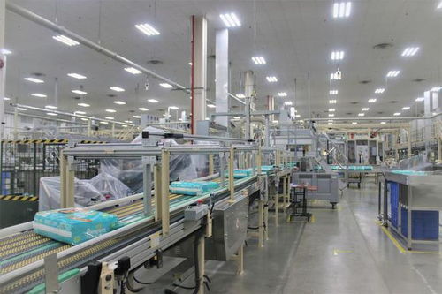 湖北高新技術產業與家政服務創新比翼齊飛，引領區域高質量發展